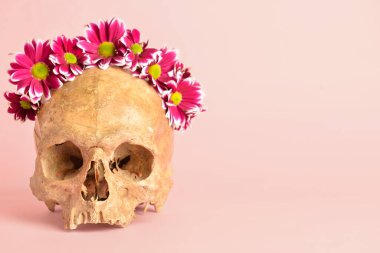 Pembe arka planda çiçekli insan kafatası