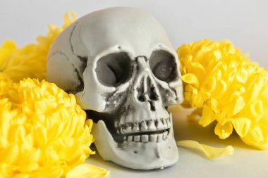 Gri arka planda çiçekli insan kafatası, yakın plan