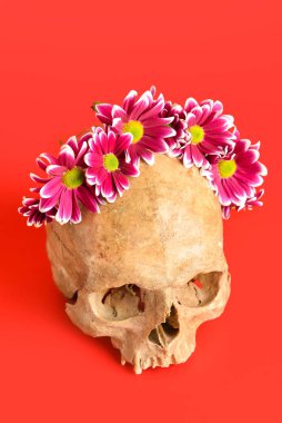 Kırmızı arka planda çiçekli insan kafatası