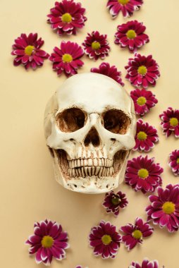 Bej arka planda çiçekli insan kafatası