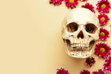 Bej arka planda çiçekli insan kafatası