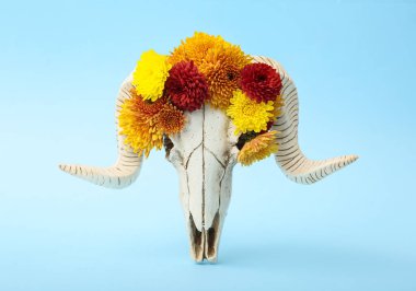 Mavi arka planda çiçekli koyunların kafatası