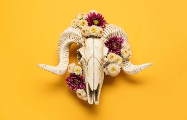 Turuncu arka planda çiçekli koyun kafatası
