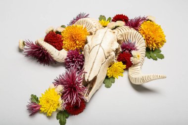 Koyun kafatası ve gri arka planda çiçekler