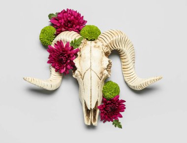 Koyun kafatası ve gri arka planda çiçekler