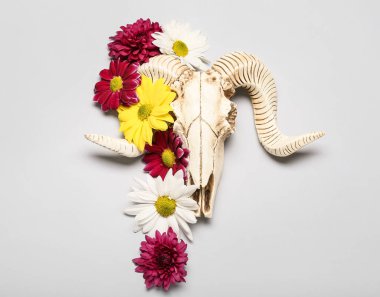 Koyun kafatası ve gri arka planda çiçekler