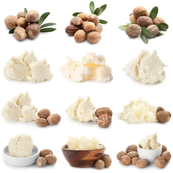 Set Shea Nuts Butter Isolated White — Stock Photo, Image