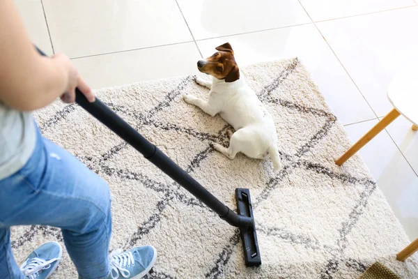 Owner Cute Dog Vacuuming Carpet Home — Foto de Stock