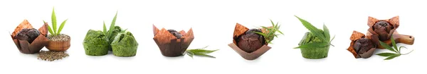 Set Tasty Cannabis Muffins White Background — Foto Stock