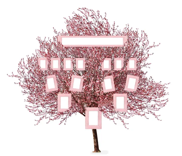 Tree Blank Photo Frames Isolated White Mockup Family Tree Design — Fotografie, imagine de stoc