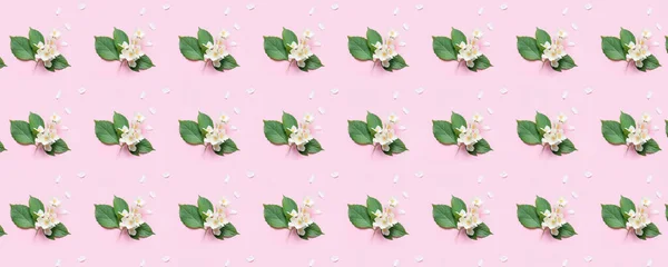 Πολλά Όμορφα Λουλούδια Γιασεμί Ροζ Φόντο Μοτίβο Σχεδίασης — Φωτογραφία Αρχείου