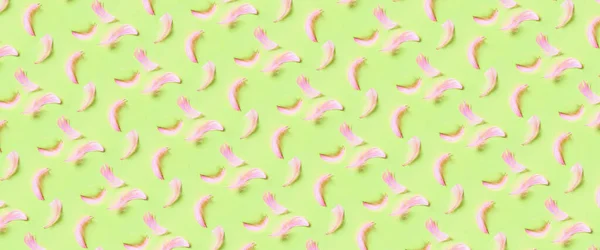Many Beautiful Pink Feathers Green Background Pattern Design — Fotografia de Stock