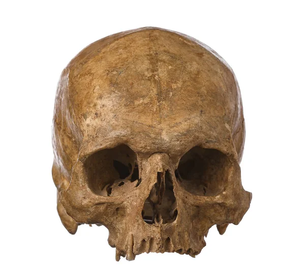 Ancient Human Skull Isolated White Background — Stock Photo, Image
