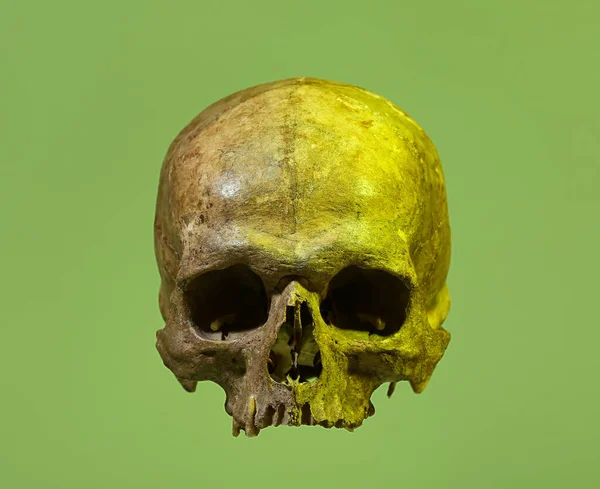 Ancient Human Skull Color Background — Zdjęcie stockowe