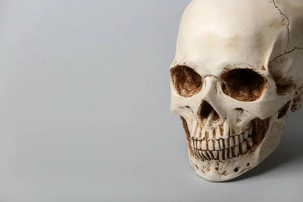 灰色背景下的人类头骨 — 图库照片