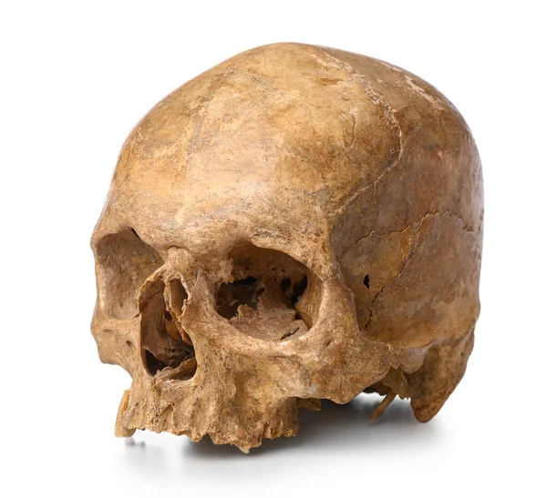 Beyaz Arka Planda Izole Edilmiş Eski Insan Kafatası — Stok fotoğraf