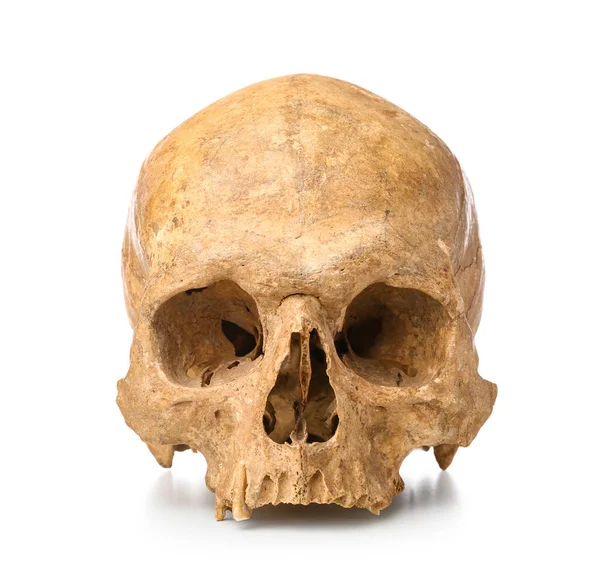 Ancient Human Skull Isolated White Background — Zdjęcie stockowe