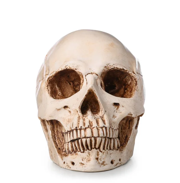 Human Skull Isolated White Background — Stock Photo, Image