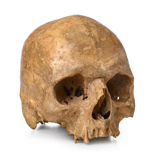 Ancient Human Skull Isolated White Background — стоковое фото