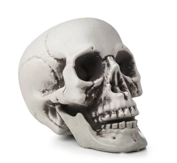 Human Skull Isolated White Background — Stock Photo, Image