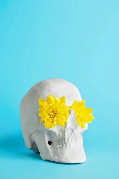 Human Skull Flowers Blue Background — Stock Photo, Image