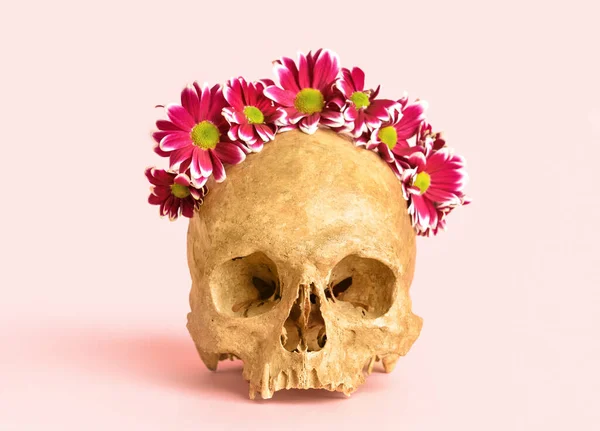 Human Skull Flowers Pink Background — Fotografia de Stock
