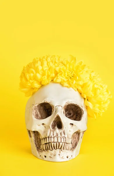 Human Skull Flowers Yellow Background — Foto Stock