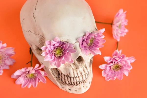 Mänsklig Skalle Med Vackra Blommor Färg Bakgrund Närbild — Stockfoto