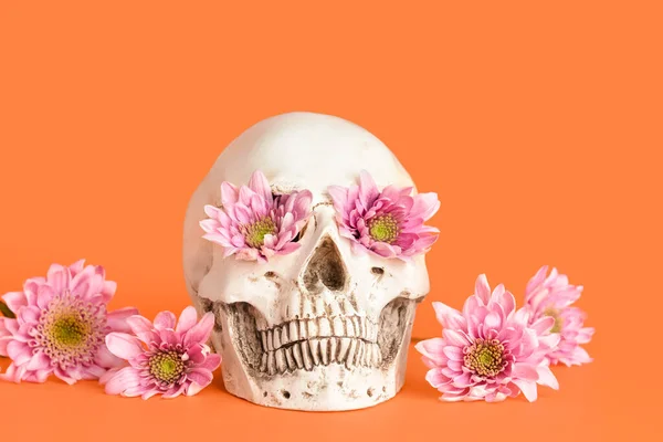 Mänsklig Skalle Med Vackra Blommor Färg Bakgrund — Stockfoto