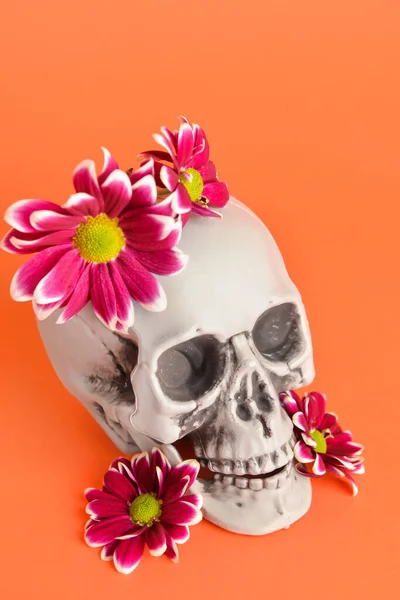 Human Skull Beautiful Flowers Color Background — Fotografia de Stock