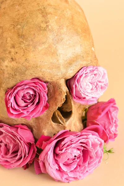 Human Skull Flowers Beige Background Closeup — Fotografia de Stock
