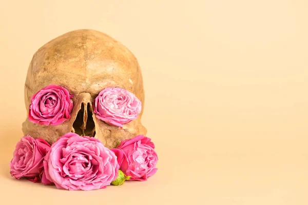 Human Skull Flowers Beige Background — Stock Photo, Image