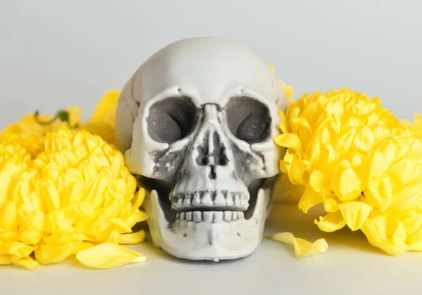 Human Skull Flowers Grey Background —  Fotos de Stock