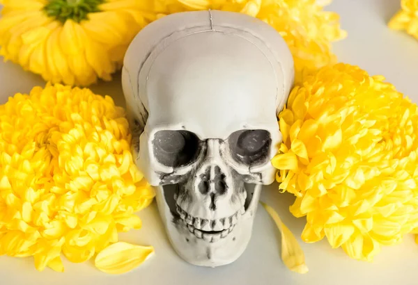 Gri arka planda çiçekli insan kafatası