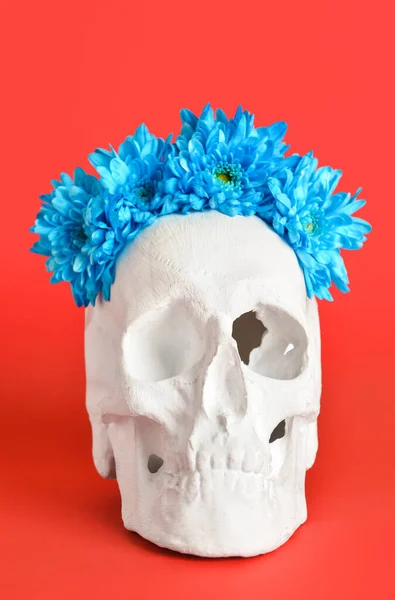 Human Skull Flowers Red Background — Stock Photo, Image