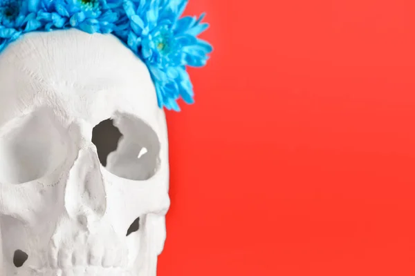 Human Skull Flowers Red Background Closeup — Stock Photo, Image