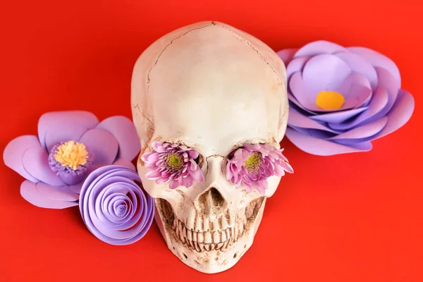 Human Skull Handmade Paper Flowers Red Background — Stock Photo, Image