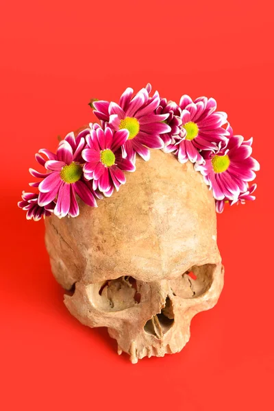 Human Skull Flowers Red Background — Stock Photo, Image