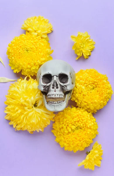 Mor arka planda çiçekli insan kafatası