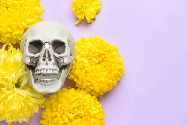 Human Skull Flowers Purple Background — Stock Photo, Image