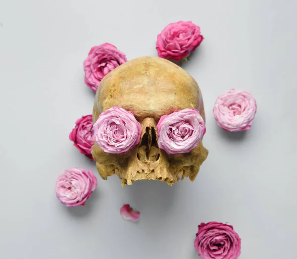 Human Skull Flowers Grey Background — Fotografia de Stock