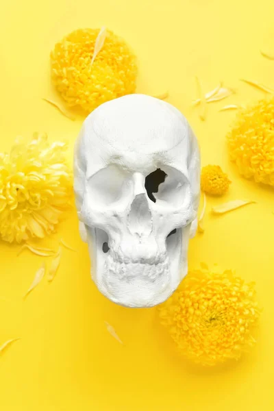Human Skull Flowers Yellow Background — Fotografia de Stock