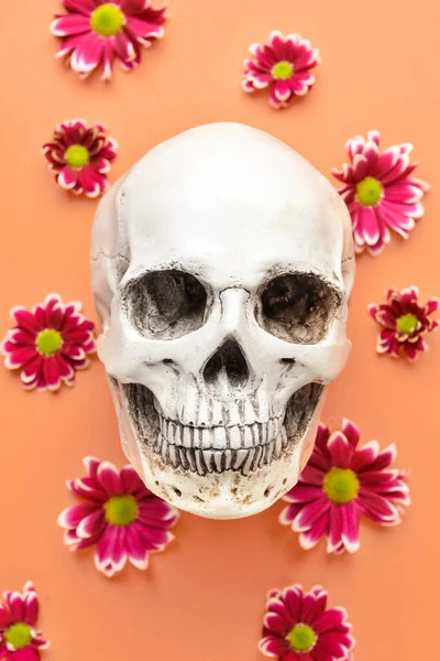 Mänsklig Skalle Med Vackra Blommor Färg Bakgrund — Stockfoto