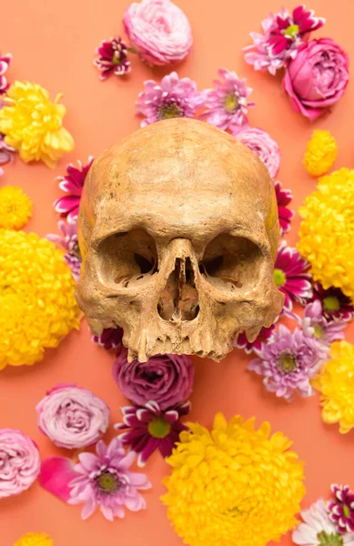 Human Skull Beautiful Flowers Color Background — Stock Photo, Image