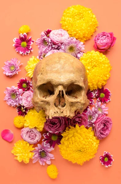 Menselijke Schedel Met Mooie Bloemen Kleur Achtergrond — Stockfoto