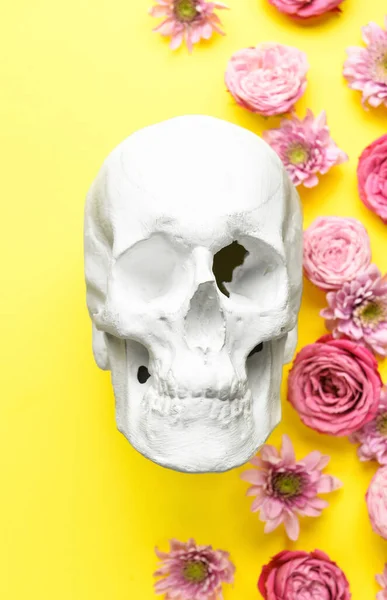 Human Skull Flowers Yellow Background — Stock Photo, Image