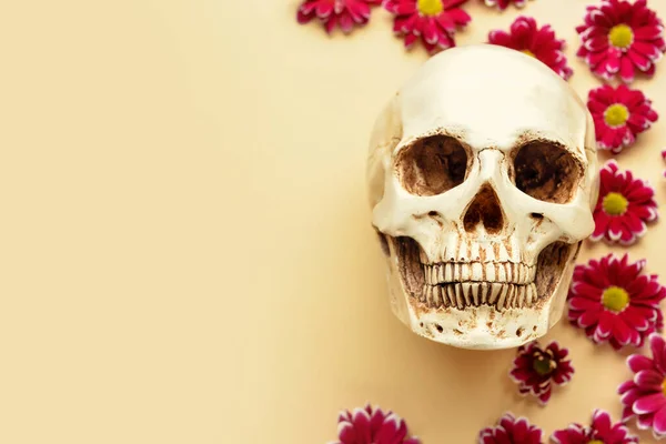 Human Skull Flowers Beige Background — Foto Stock