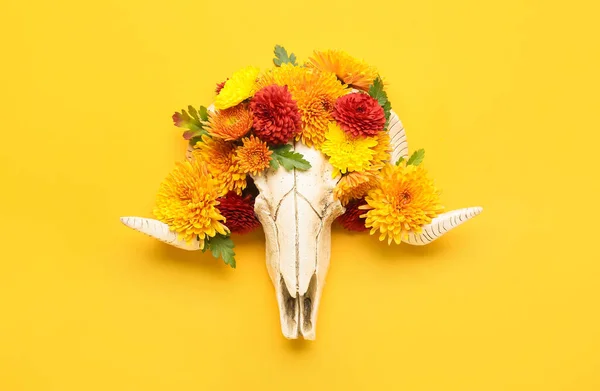 Skull Sheep Flowers Orange Background — Stockfoto