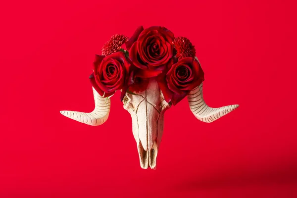 Skull Sheep Flowers Red Background — Stok fotoğraf