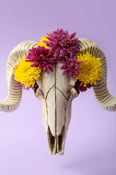 Skull Sheep Flowers Purple Background — Fotografia de Stock